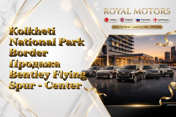 Kolkheti National Park Border Продажа Bentley Flying Spur - Center