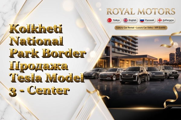 Kolkheti National Park Border Продажа Tesla Model 3 - Center