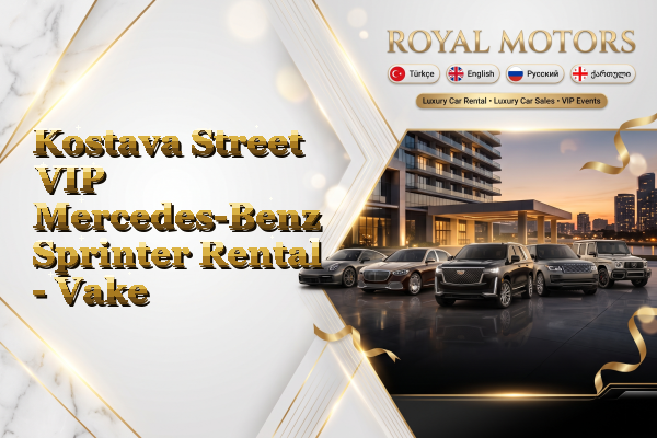 Kostava Street VIP Mercedes-Benz Sprinter Rental - Vake