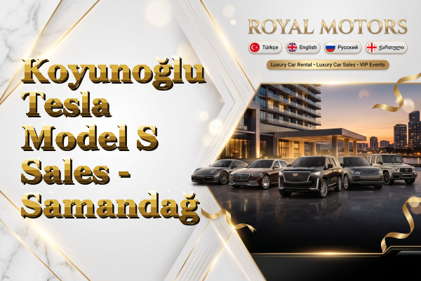Koyunoğlu Tesla Model S Sales - Samandağ