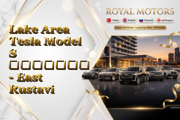 Lake Area Tesla Model S გაყიდვა - East Rustavi