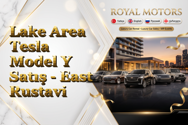 Lake Area Tesla Model Y Satış - East Rustavi