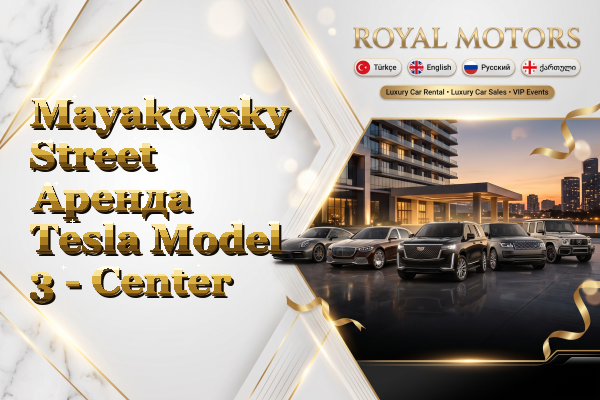 Mayakovsky Street Аренда Tesla Model 3 - Center