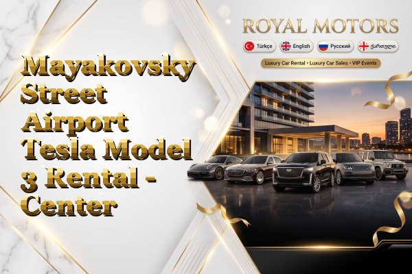 Mayakovsky Street Airport Tesla Model 3 Rental - Center