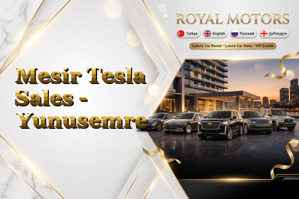 Mesir Tesla Sales - Yunusemre