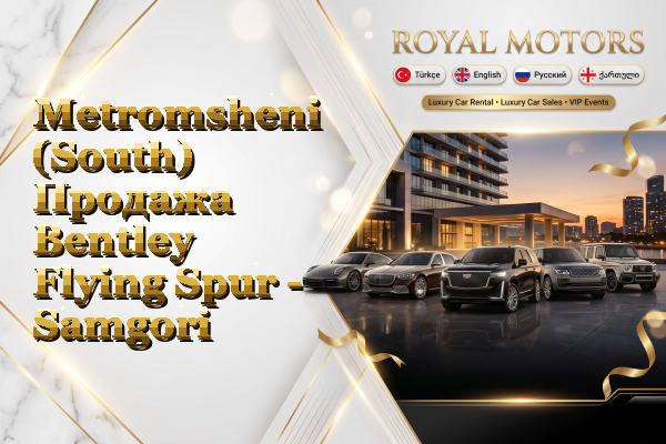 Metromsheni (South) Продажа Bentley Flying Spur - Samgori