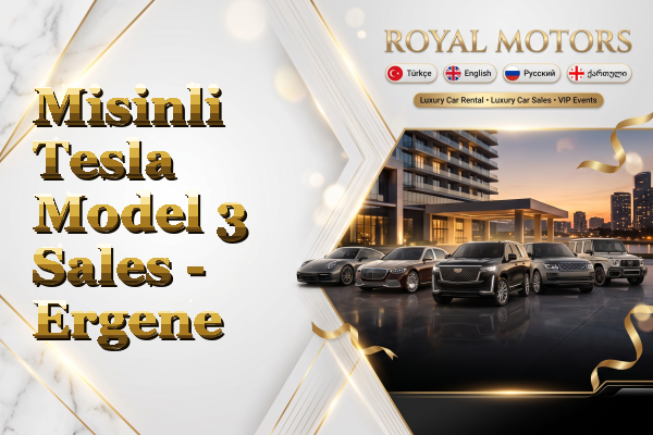 Misinli Tesla Model 3 Sales - Ergene