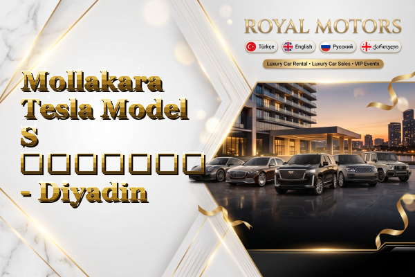Mollakara Tesla Model S გაყიდვა - Diyadin