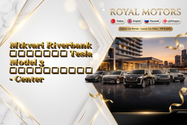 Mtkvari Riverbank მძღოლით Tesla Model 3 გაქირავება - Center