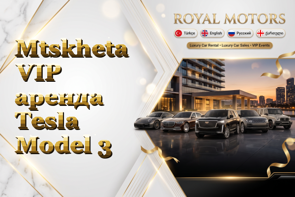 Mtskheta VIP аренда Tesla Model 3