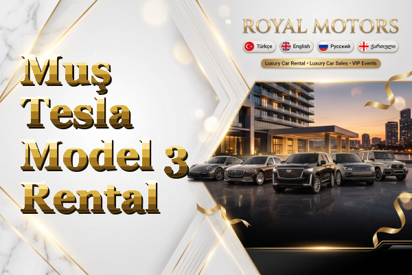 Muş Tesla Model 3 Rental