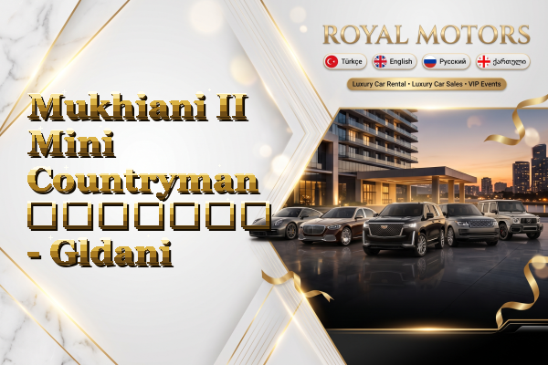 Mukhiani II Mini Countryman გაყიდვა - Gldani