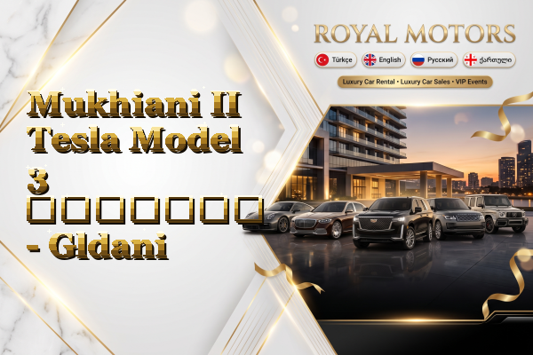 Mukhiani II Tesla Model 3 გაყიდვა - Gldani