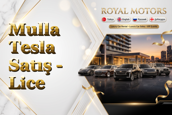 Mulla Tesla Satış - Lice