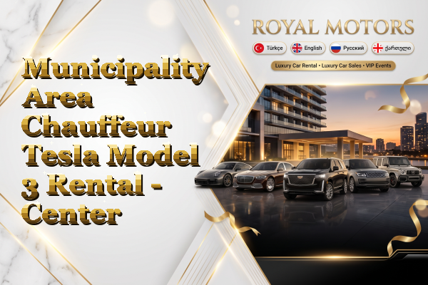 Municipality Area Chauffeur Tesla Model 3 Rental - Center
