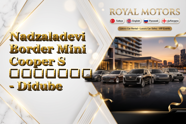 Nadzaladevi Border Mini Cooper S გაყიდვა - Didube