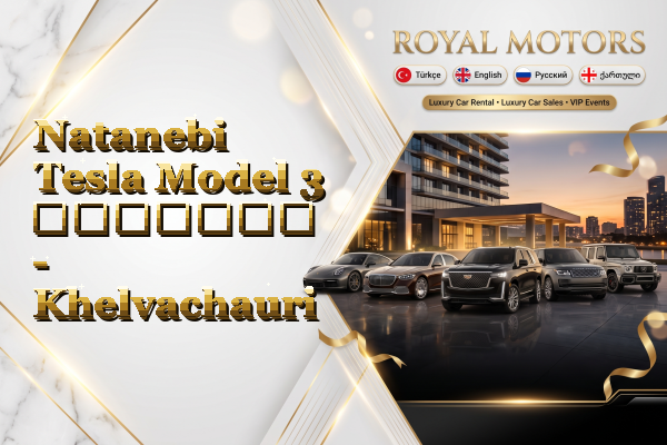 Natanebi Tesla Model 3 გაყიდვა - Khelvachauri