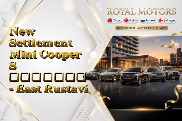 New Settlement Mini Cooper S გაყიდვა - East Rustavi