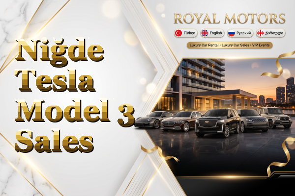 Niğde Tesla Model 3 Sales