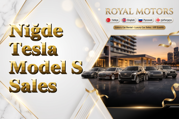 Niğde Tesla Model S Sales
