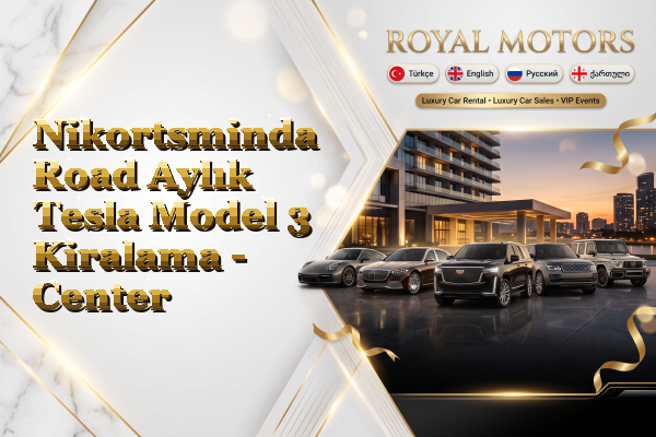 Nikortsminda Road Aylık Tesla Model 3 Kiralama - Center