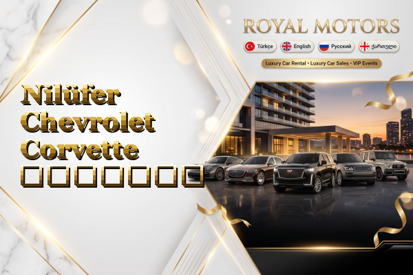 Nilüfer Chevrolet Corvette გაყიდვა