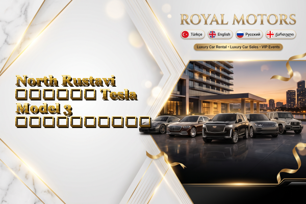 North Rustavi თვიური Tesla Model 3 გაქირავება