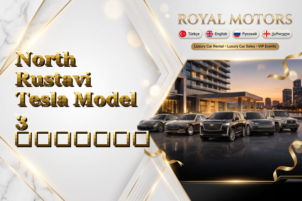 North Rustavi Tesla Model 3 გაყიდვა