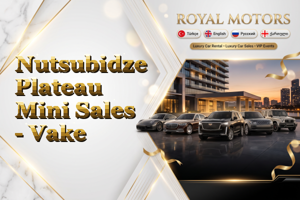 Nutsubidze Plateau Mini Sales - Vake