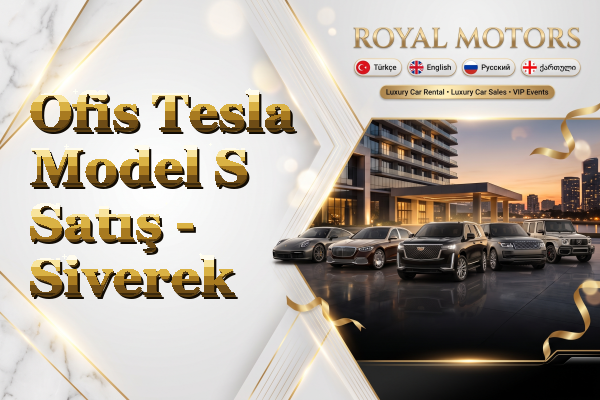 Ofis Tesla Model S Satış - Siverek