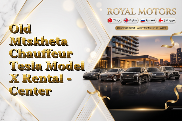 Old Mtskheta Chauffeur Tesla Model X Rental - Center