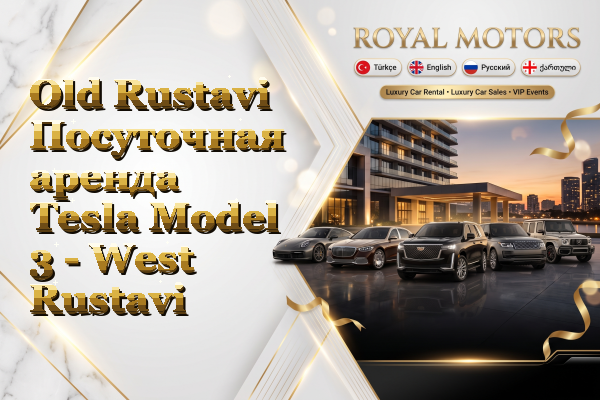 Old Rustavi Посуточная аренда Tesla Model 3 - West Rustavi