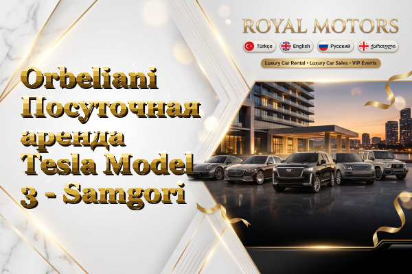 Orbeliani Посуточная аренда Tesla Model 3 - Samgori