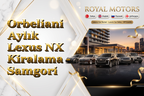 Orbeliani Aylık Lexus NX Kiralama - Samgori