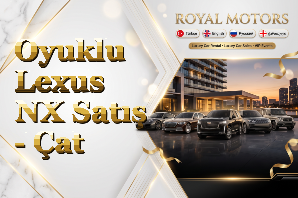 Oyuklu Lexus NX Satış - Çat
