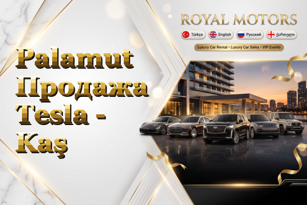 Palamut Продажа Tesla - Kaş