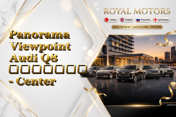 Panorama Viewpoint Audi Q8 გაყიდვა - Center