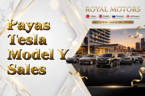 Payas Tesla Model Y Sales