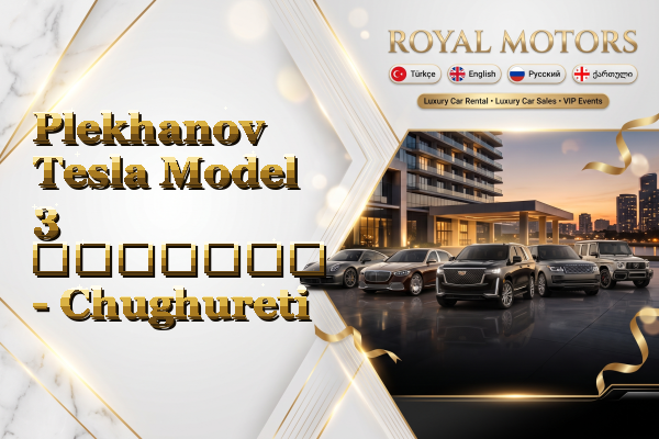 Plekhanov Tesla Model 3 გაყიდვა - Chughureti