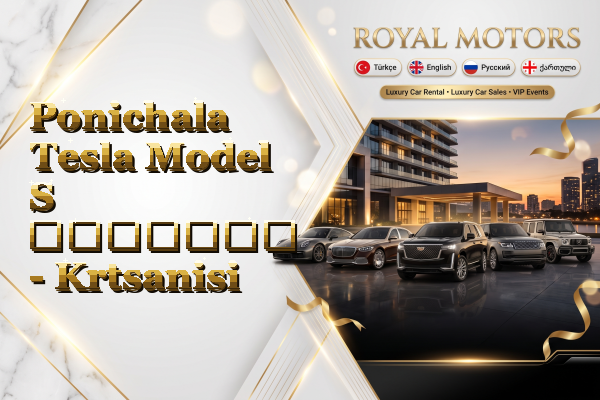 Ponichala Tesla Model S გაყიდვა - Krtsanisi