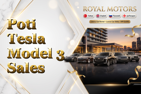 Poti Tesla Model 3 Sales