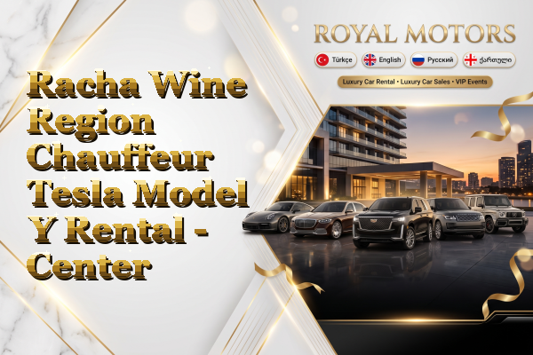 Racha Wine Region Chauffeur Tesla Model Y Rental - Center