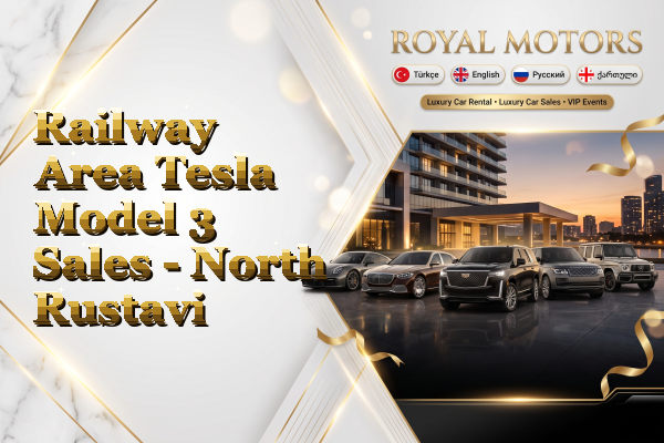 Railway Area Tesla Model 3 Sales - North Rustavi