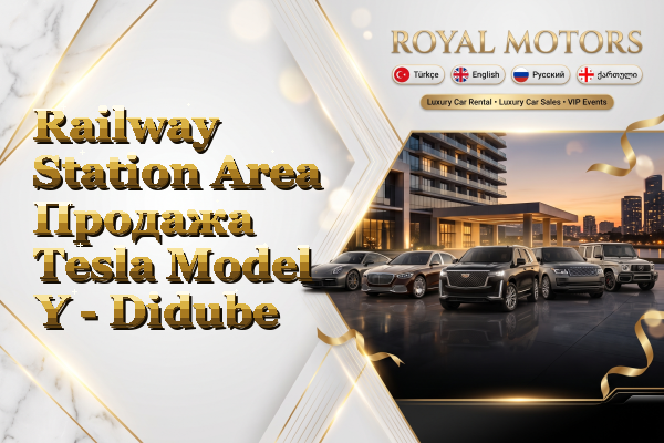 Railway Station Area Продажа Tesla Model Y - Didube