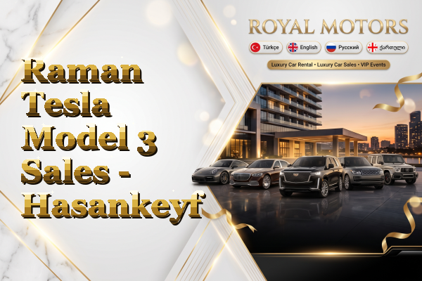 Raman Tesla Model 3 Sales - Hasankeyf