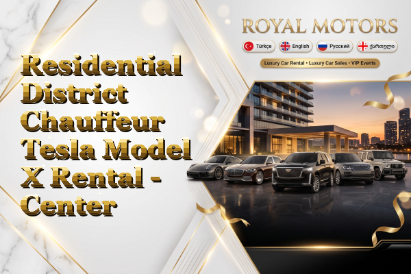 Residential District Chauffeur Tesla Model X Rental - Center