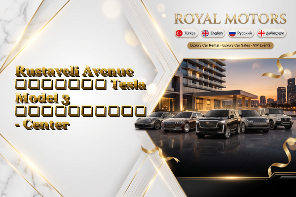 Rustaveli Avenue მძღოლით Tesla Model 3 გაქირავება - Center