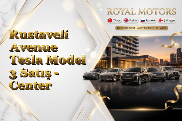 Rustaveli Avenue Tesla Model 3 Satış - Center