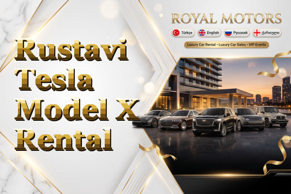 Rustavi Tesla Model X Rental