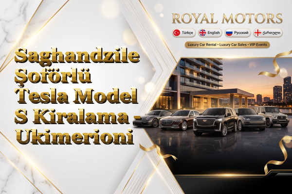 Saghandzile Şoförlü Tesla Model S Kiralama - Ukimerioni